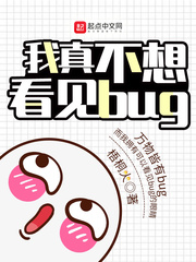 我真不想看見bug