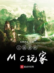 三國里的MC玩家