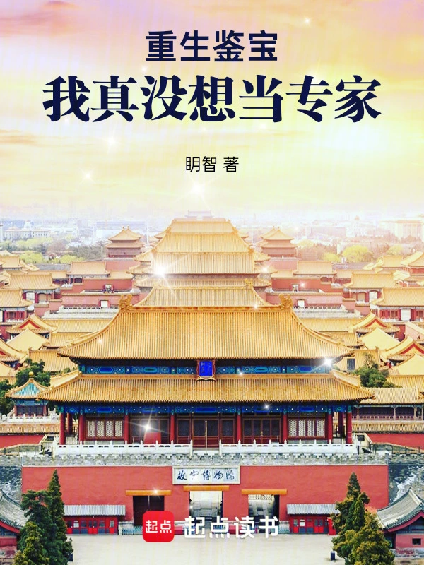 重生鑒寶：我真沒想當專家